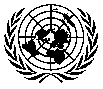 UN Organization