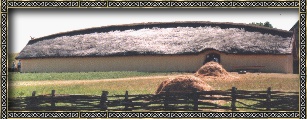 The Longhouse