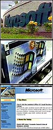 Microsoft strip