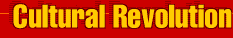 Cultural Revolution